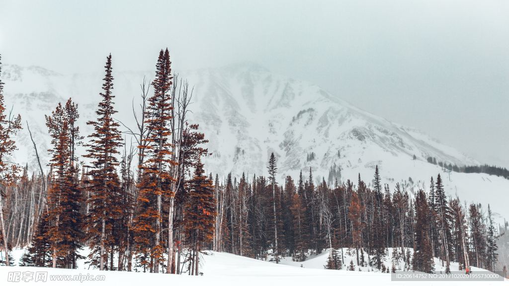 雪山美景