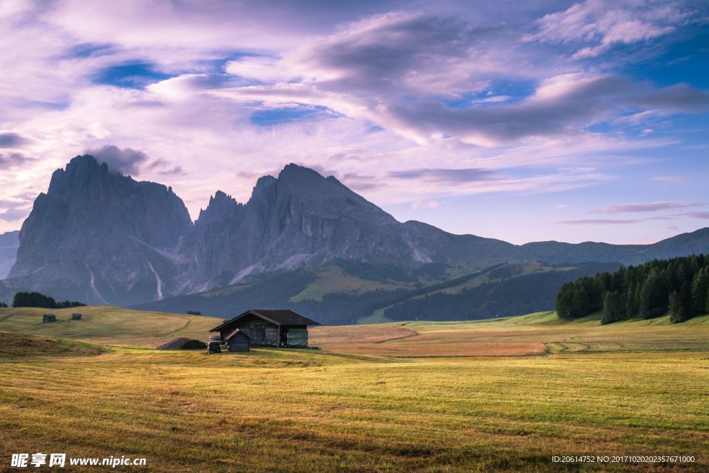 草原美景