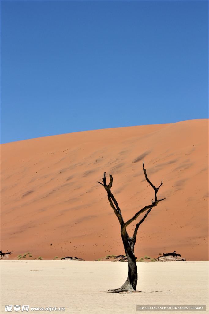 荒漠美景