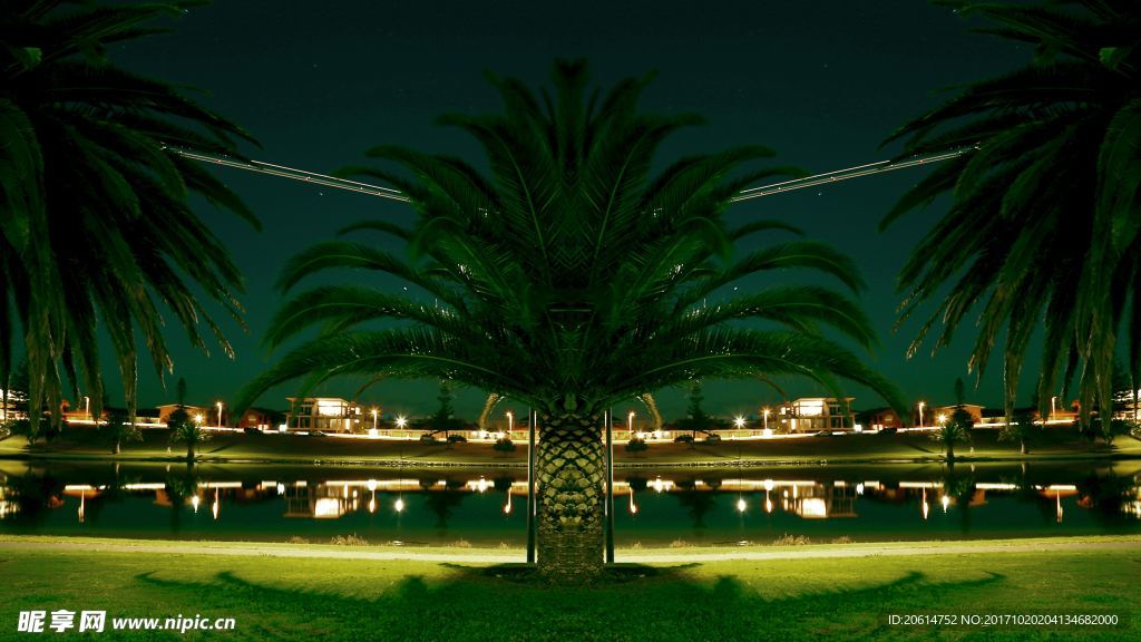 草坪上的夜景