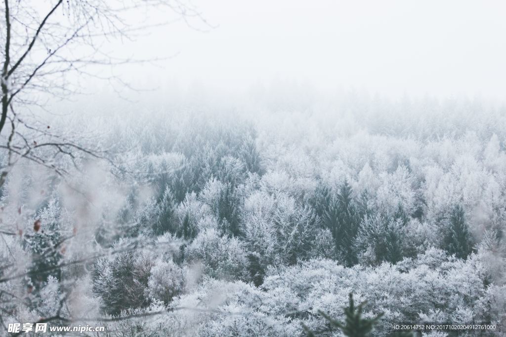 雪原美景