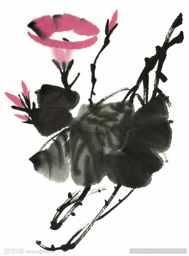 国画花卉图片