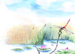 蜻蜓  荷花  立上头