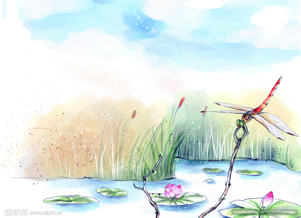 蜻蜓  荷花  立上头