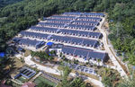 琼中合老村