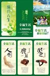 东北土特产