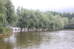 景色