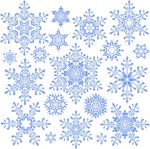 雪花