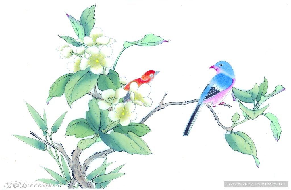 国画花鸟
