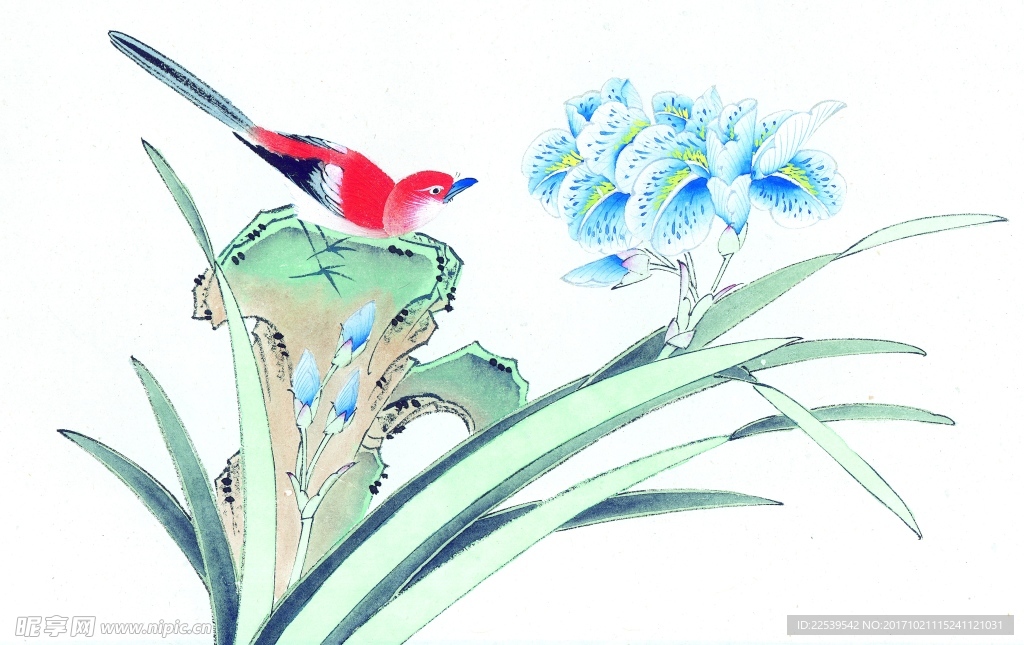 国画花鸟