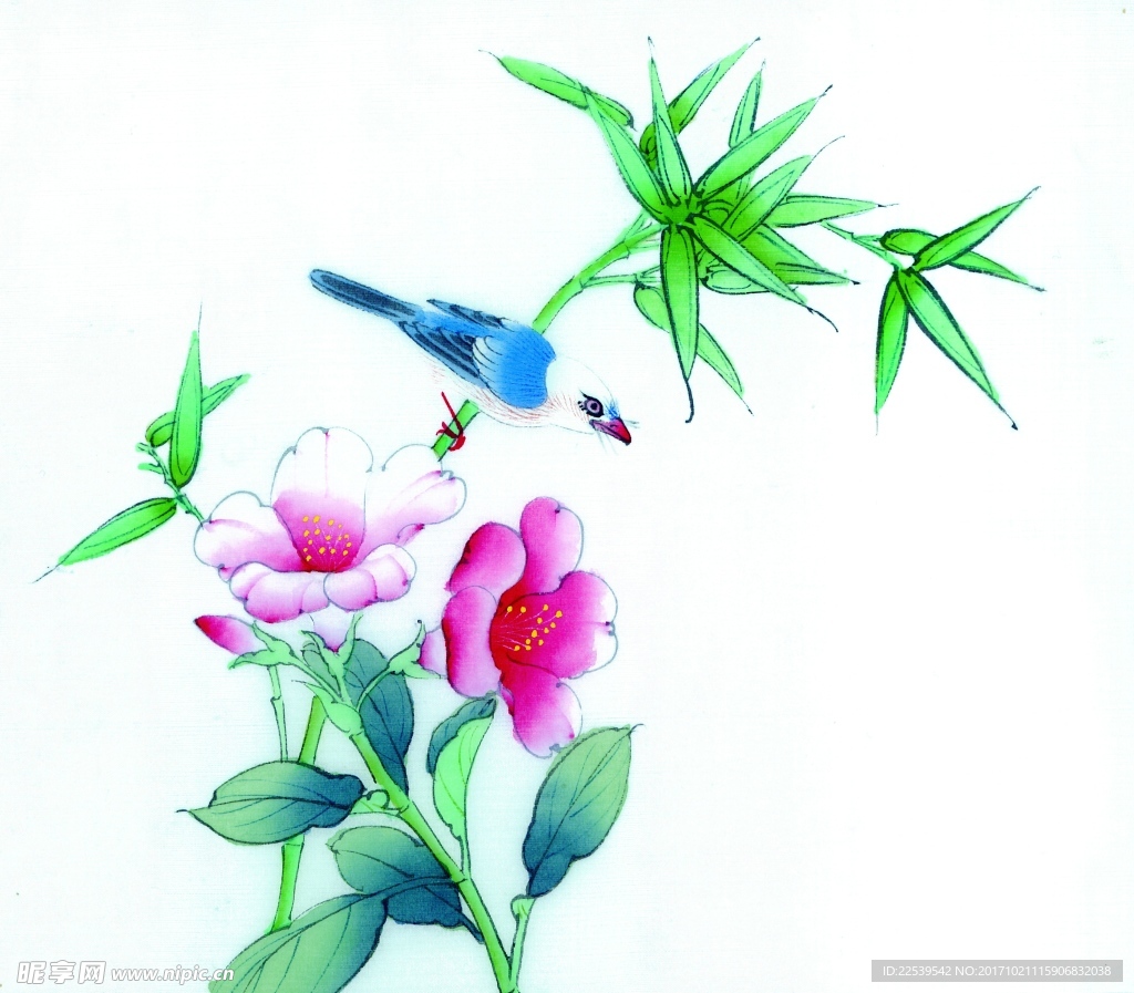 国画花鸟