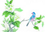 国画花鸟