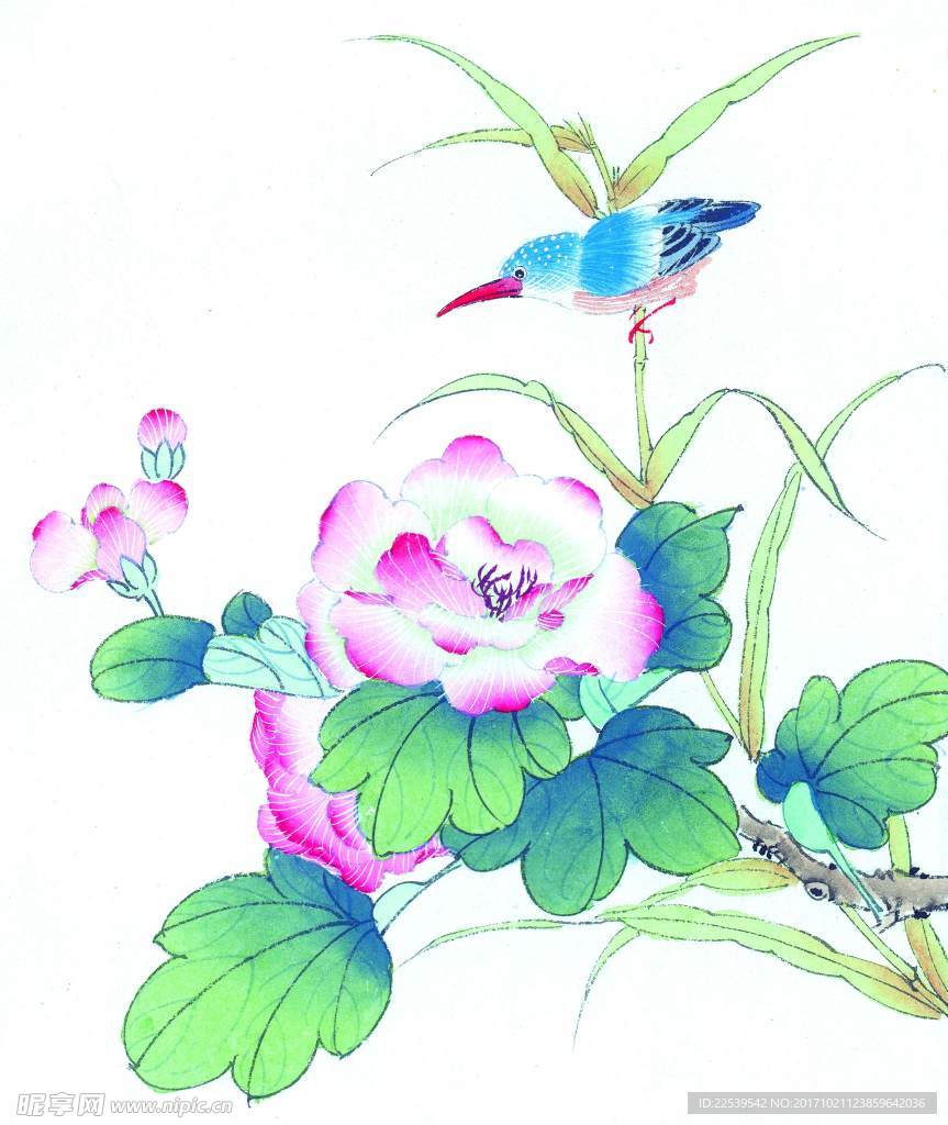 国画花鸟