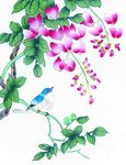 国画花鸟
