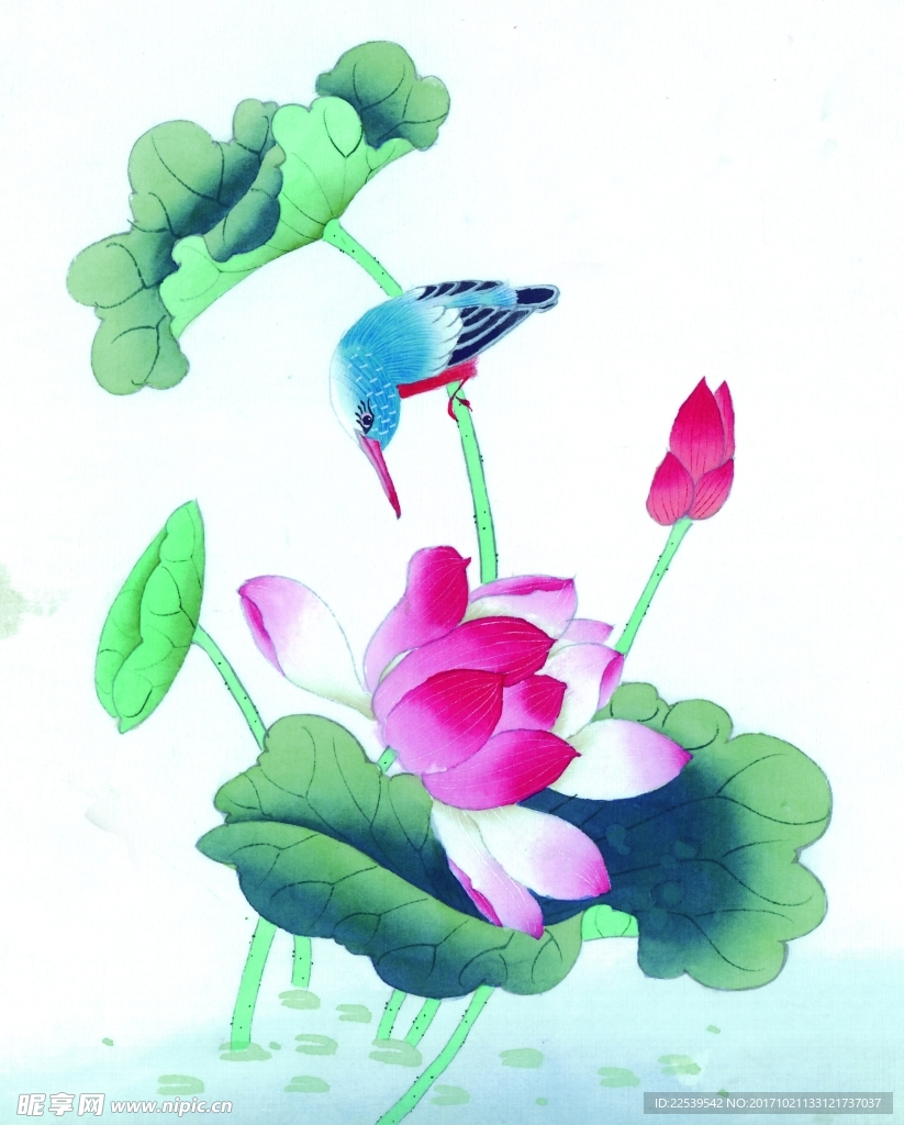 国画花鸟