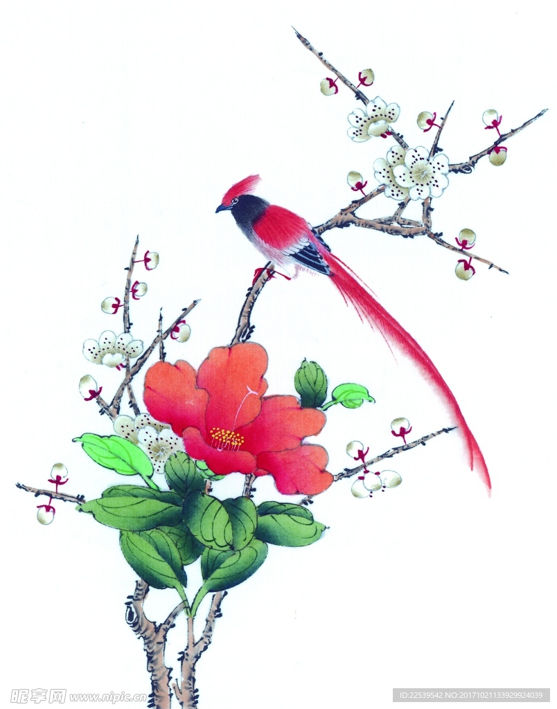 国画花鸟