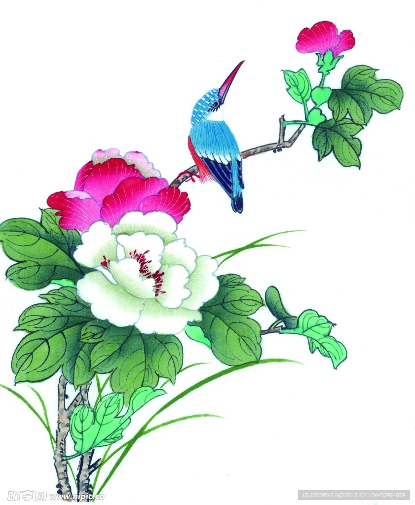 国画花鸟