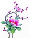 国画花鸟