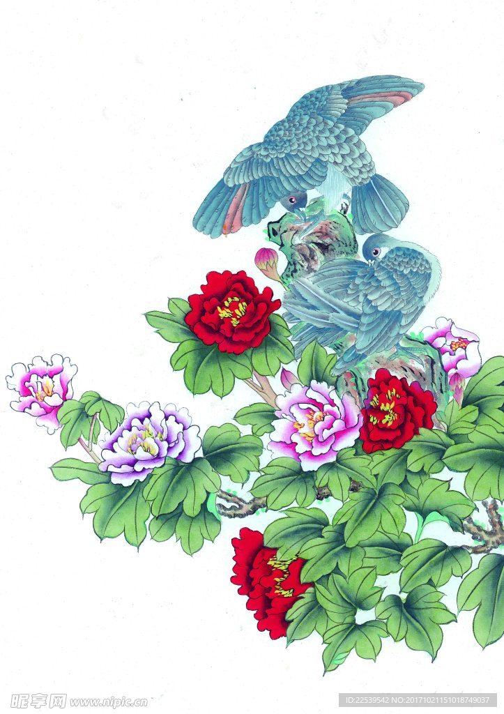 国画花鸟 国画花卉