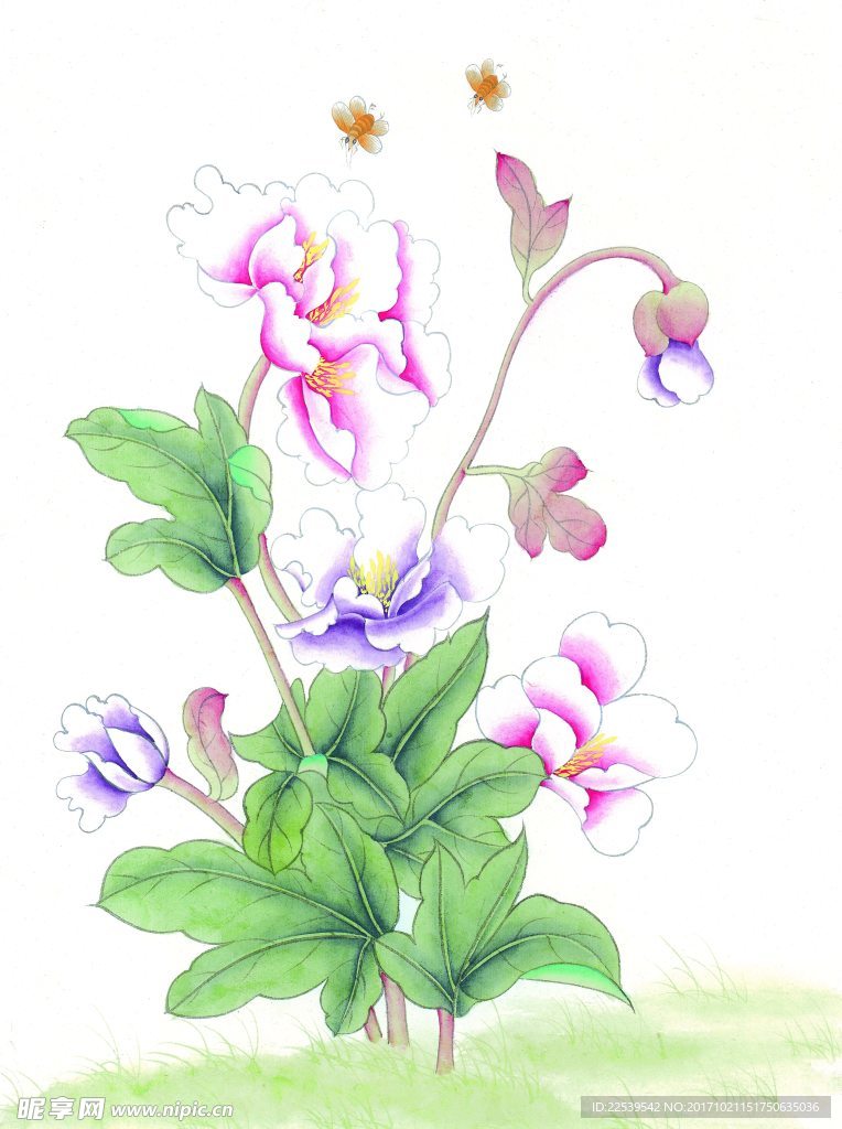 国画花鸟