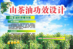 山茶油背景展板设计
