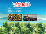 茶油背景图