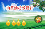 山茶油功效设计图