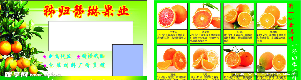秭归脐橙