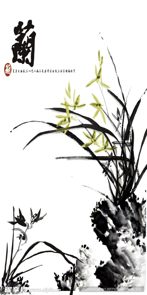 兰花