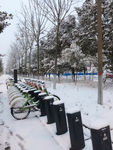 雪