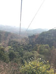 山顶