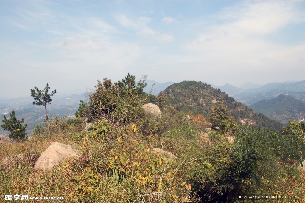 山景