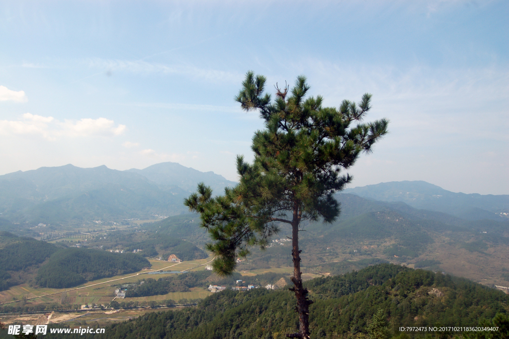 山景