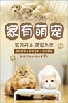 萌宠海报