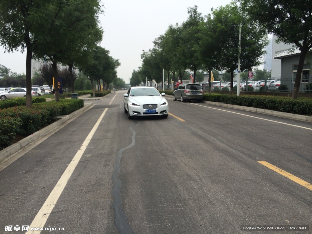 道路上行驶的汽车