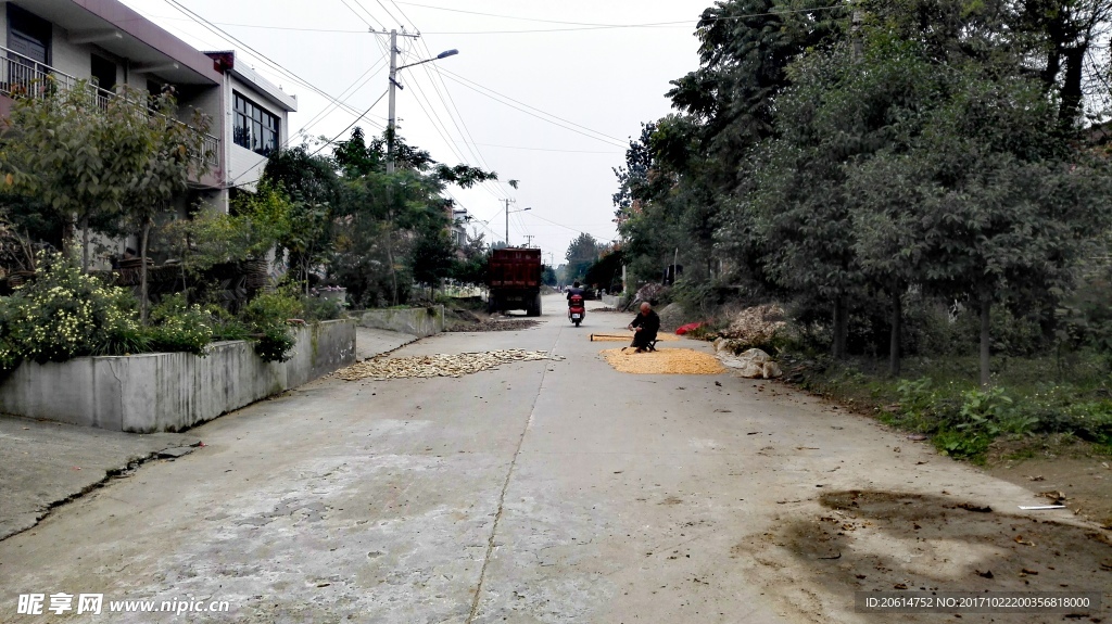 乡村街道风景