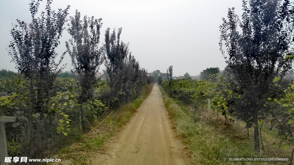 乡村道路