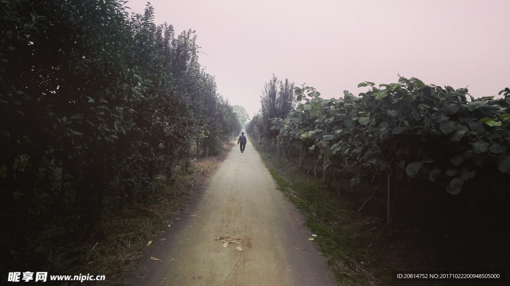 乡村道路
