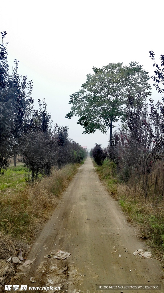 乡村道路