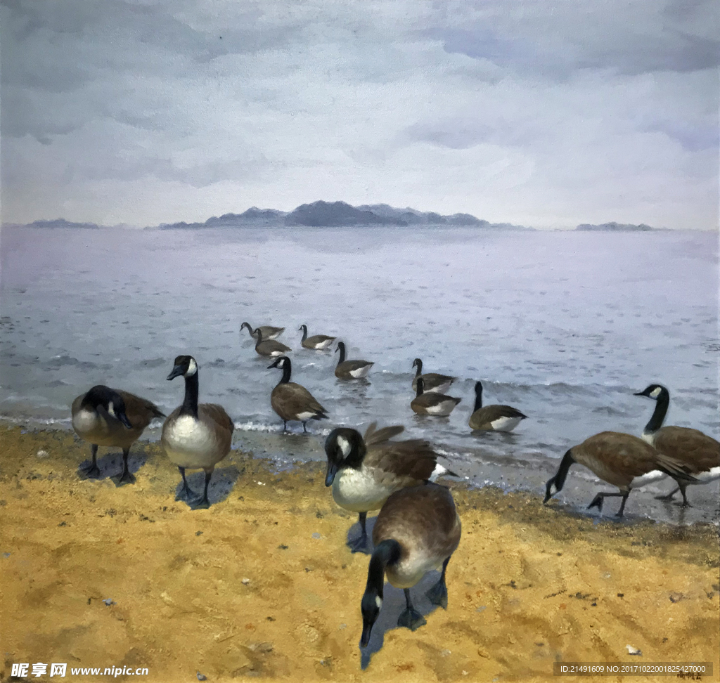 动物油画
