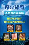 生鲜海报 菜品海报 肉类海报