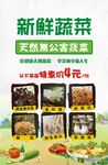 生鲜海报 菜品海报 肉类海报