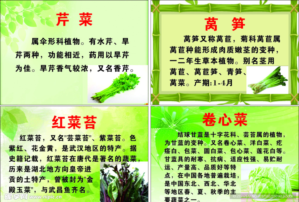 芹菜 莴笋 牌子 举牌 学校