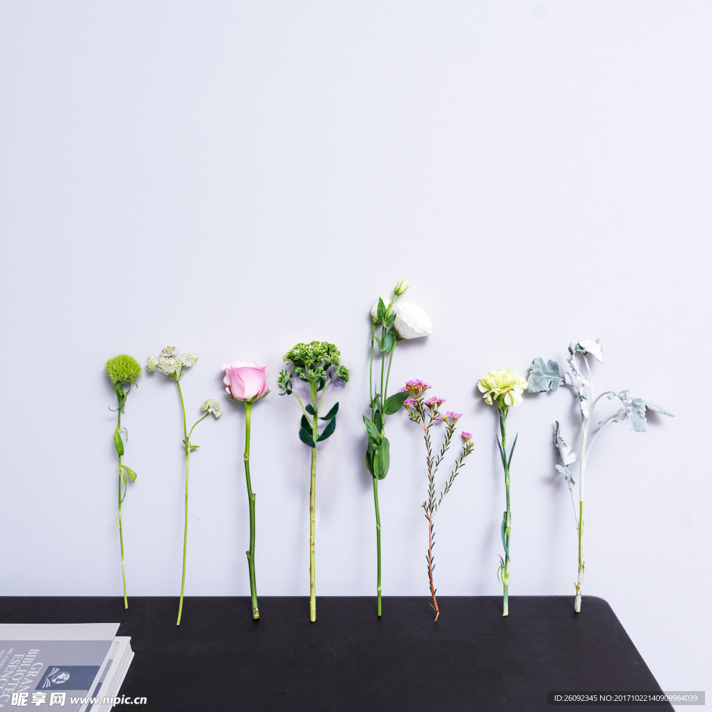 鲜花