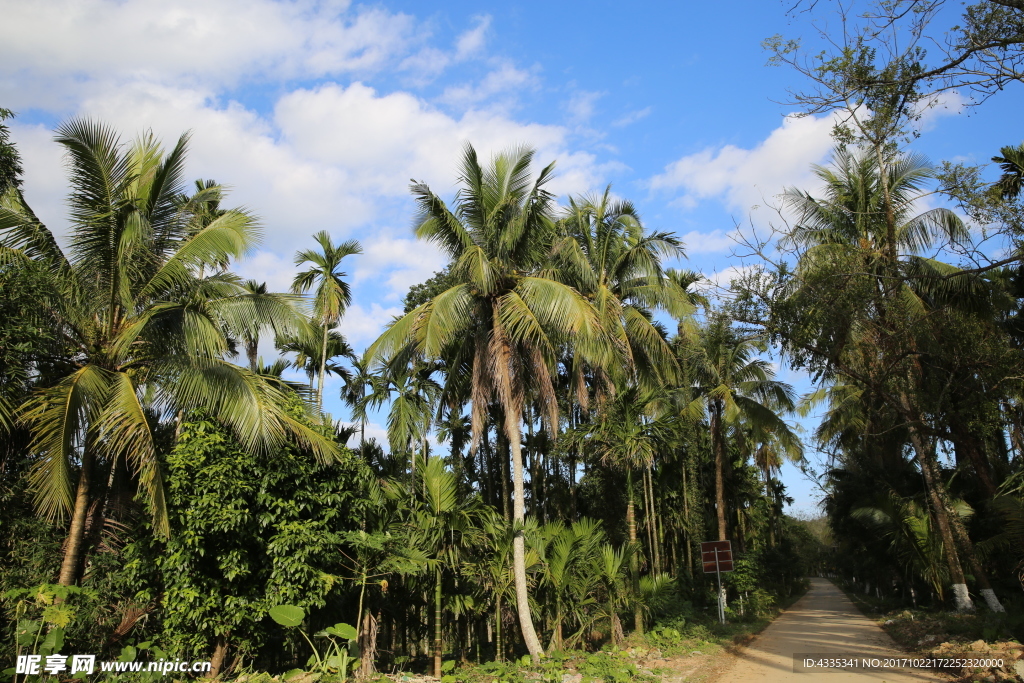 湾岭村