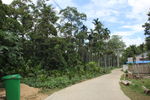鸭坡村