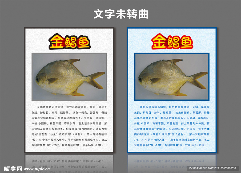 金鲳鱼海报