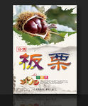 板栗 新鲜栗子