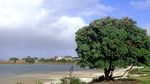 奥克兰海滨风光
