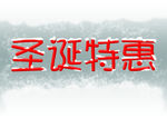 圣诞特惠